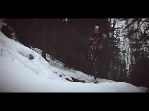 Wren Inverted Fatbike Suspension Fork