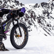 Wren Inverted Fatbike Suspension Fork