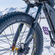 Wren Inverted Fatbike Suspension Fork